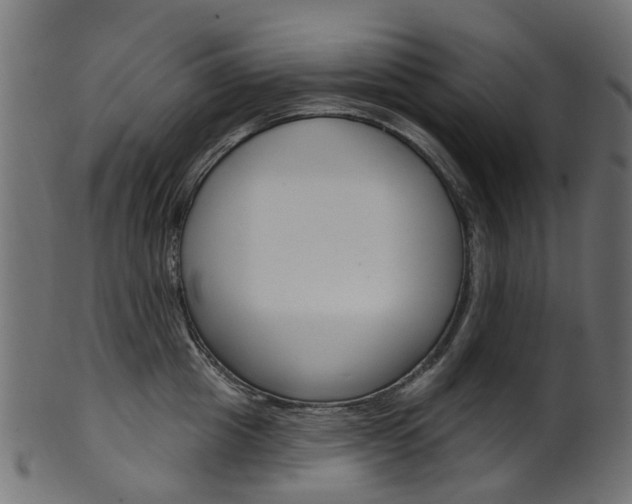 X0000102040857200807181028