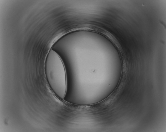 X0000102040858200807181028