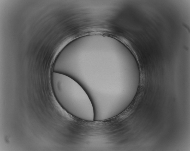 X0000102040859200807181028
