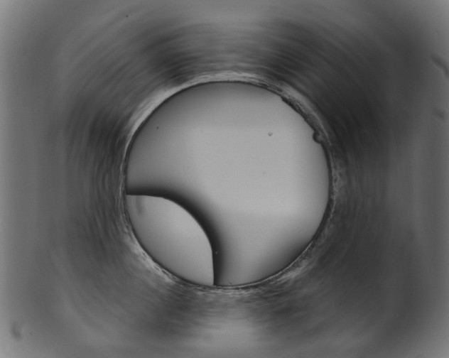 X0000102040860200807181028