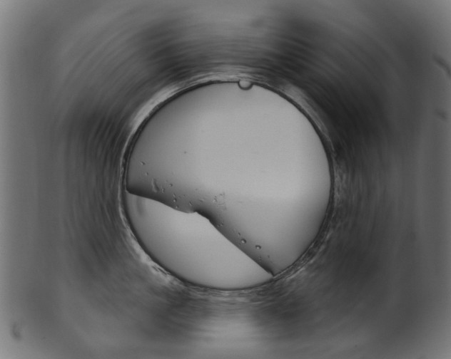 X0000102040861200807181028