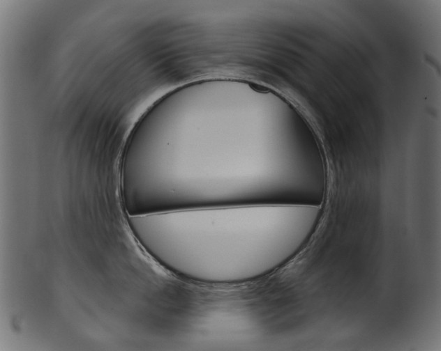 X0000102040862200807181028