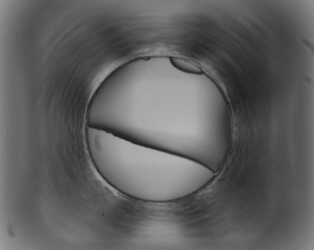 X0000102040863200807181028