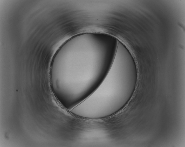 X0000102040864200807181028