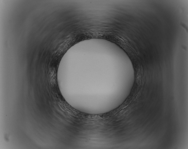 X0000102040866200807181027