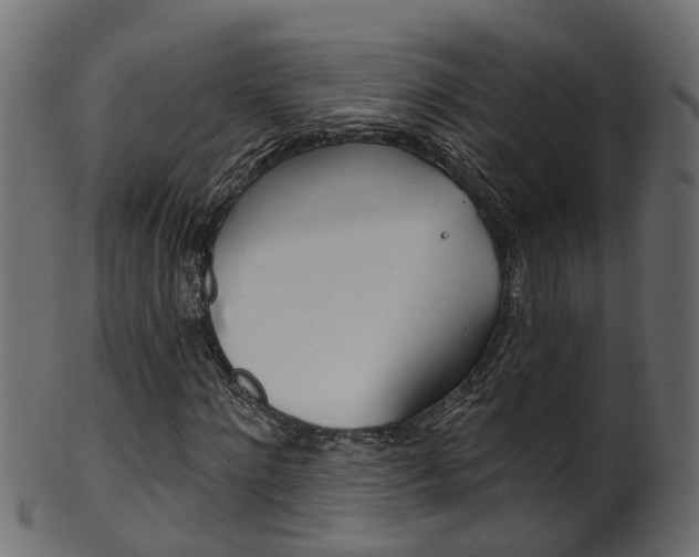 X0000102040868200807181027