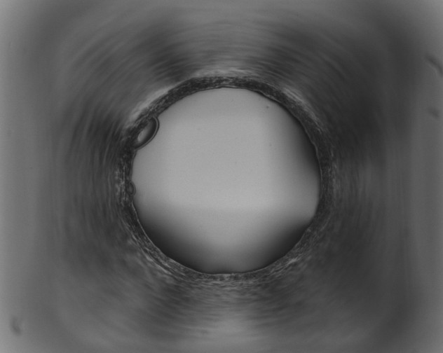 X0000102040872200807181027