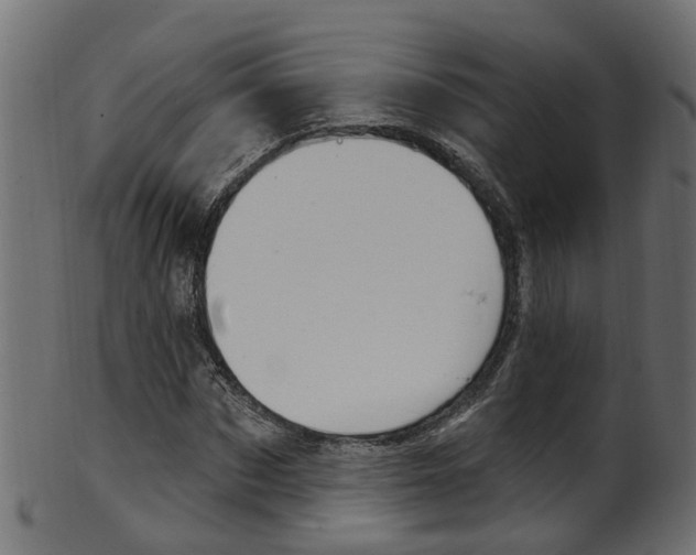 X0000102040873200807181027