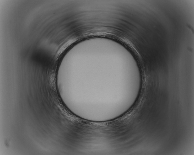 X0000102040874200807181027