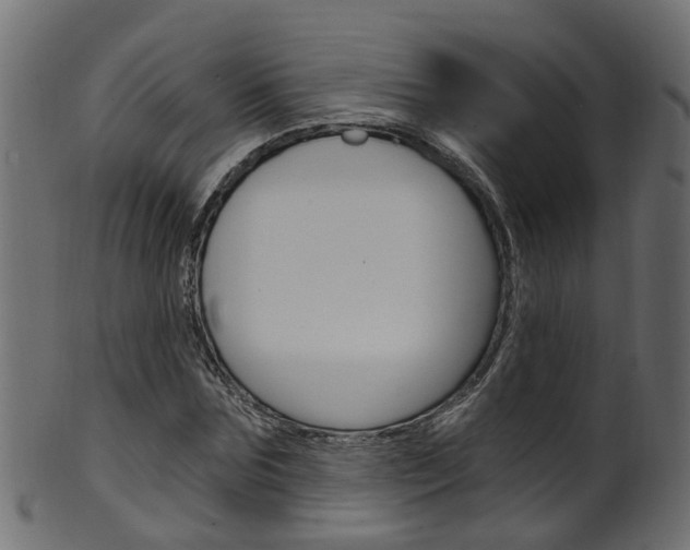 X0000102040875200807181027