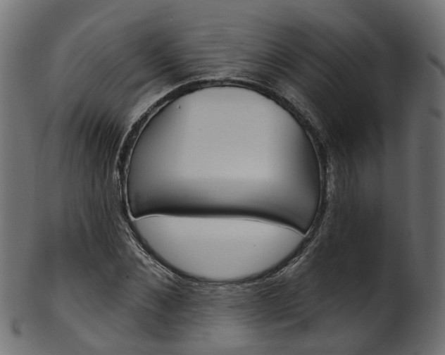 X0000102040876200807181027