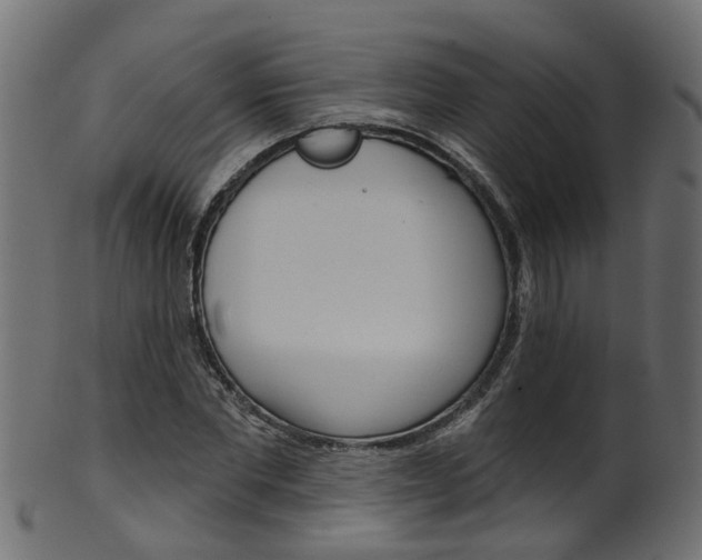 X0000102040877200807181027