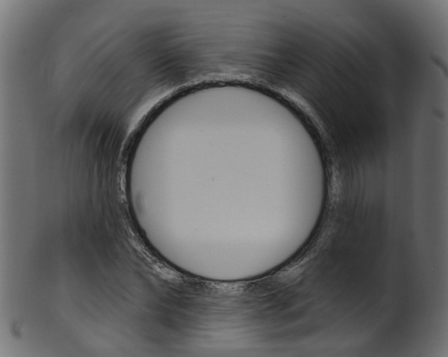 X0000102040878200807181027