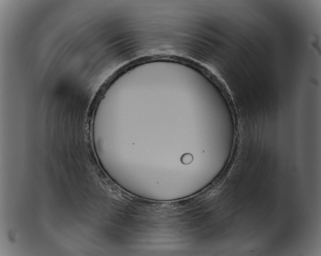 X0000102040879200807181027