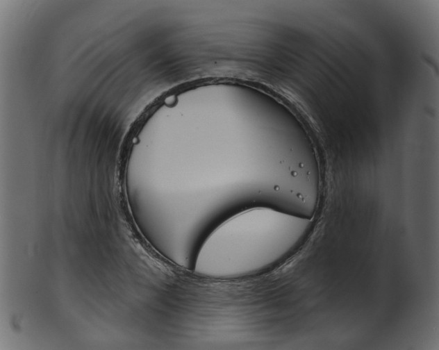 X0000102040880200807181027