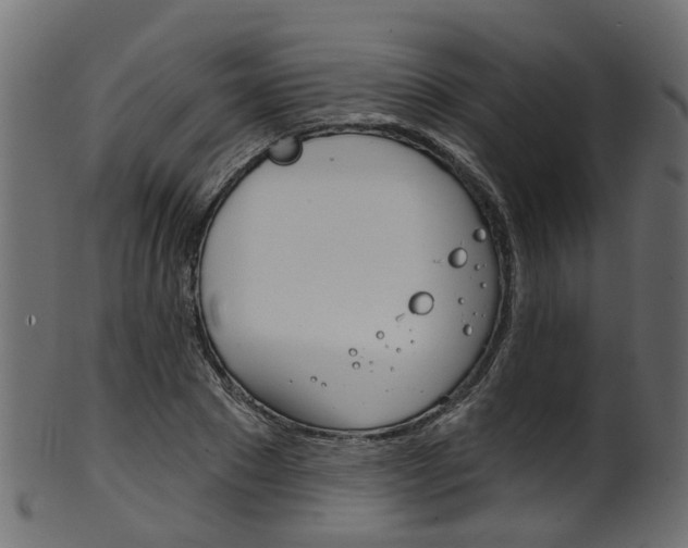 X0000102040881200807181027