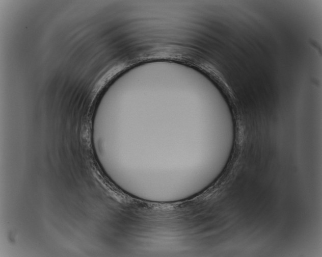 X0000102040882200807181027