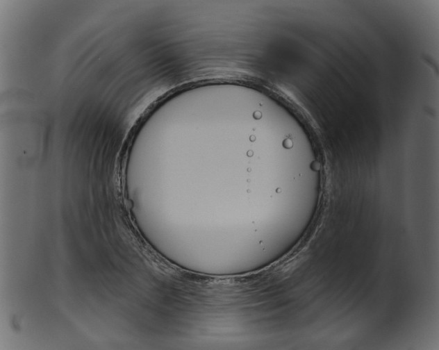 X0000102040883200807181027