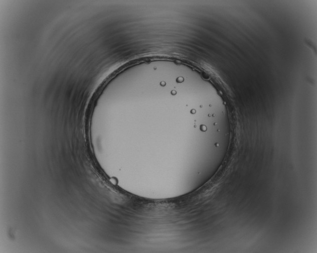 X0000102040884200807181027