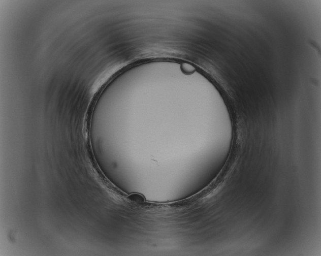 X0000102040885200807181027