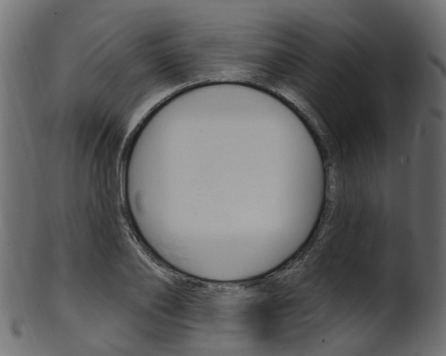 X0000102040886200807181027