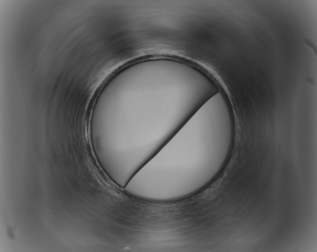 X0000102040887200807181027