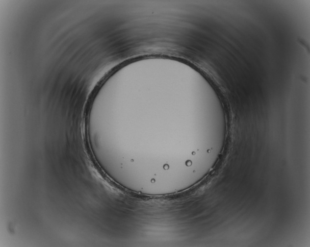 X0000102040888200807181027