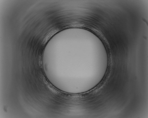 X0000102040889200807181027