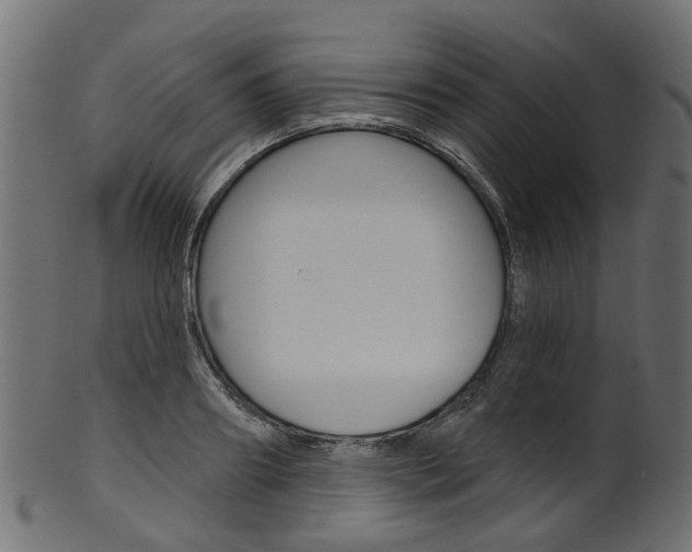 X0000102040890200807181027