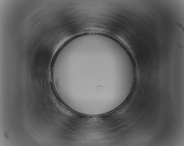 X0000102040891200807181027