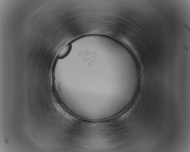 X0000102040892200807181027