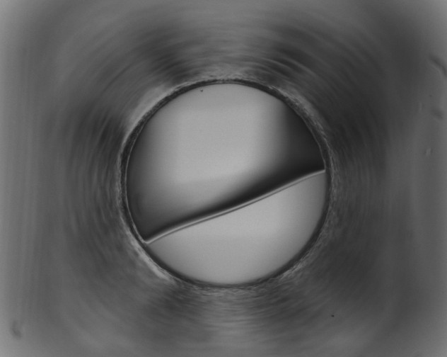 X0000102040894200807181027