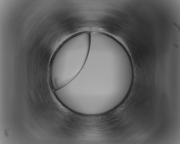 X0000102040895200807181027