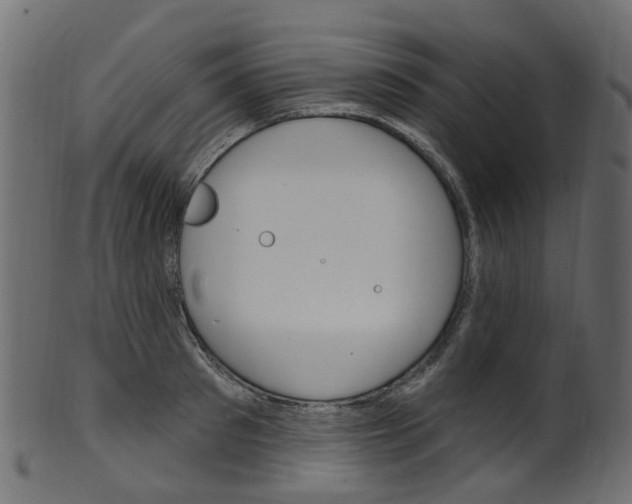 X0000102040897200807181027