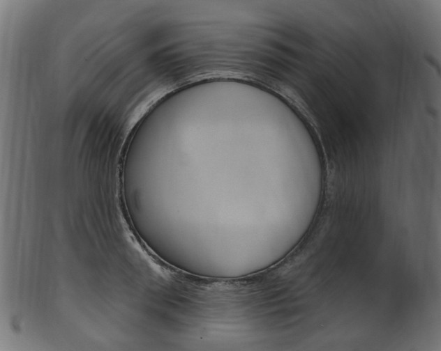 X0000102040898200807181027