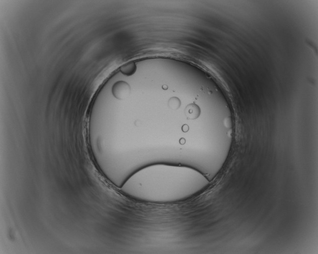 X0000102040899200807181027