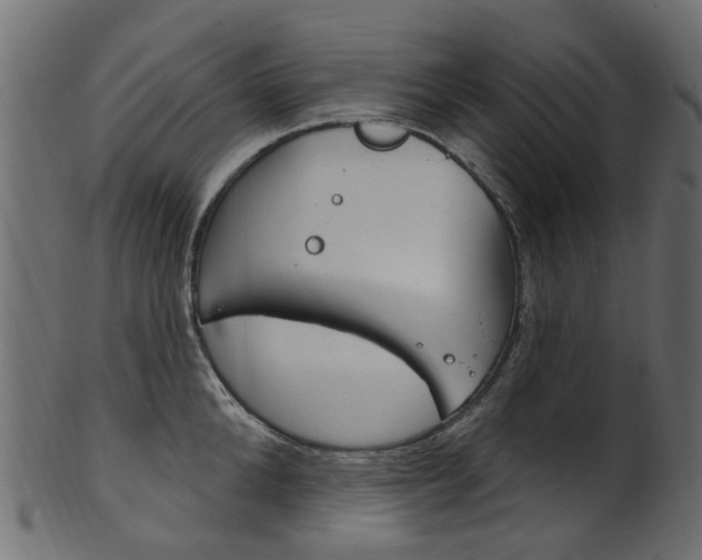 X0000102040904200807181027
