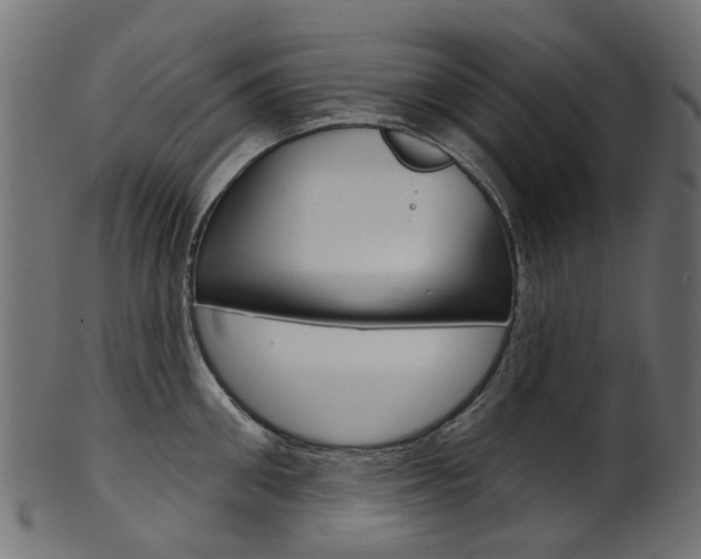 X0000102040906200807181027