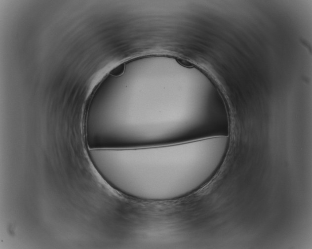X0000102040910200807181027