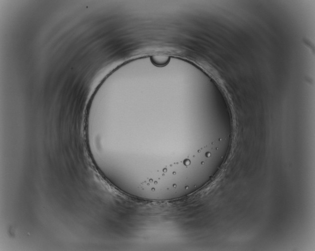 X0000102040912200807181027