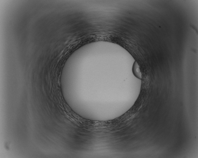 X0000102040913200807181026