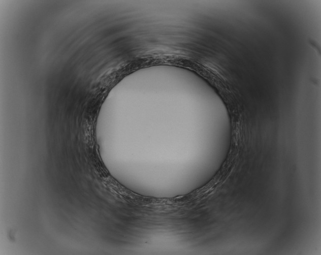 X0000102040917200807181026