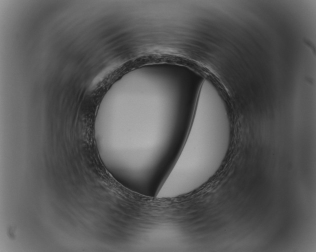 X0000102040919200807181026