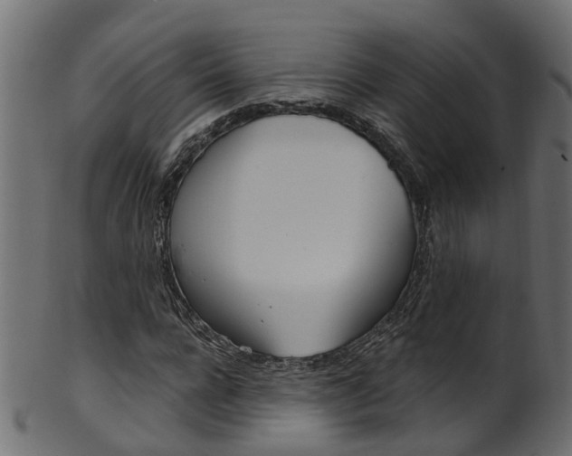 X0000102040920200807181026