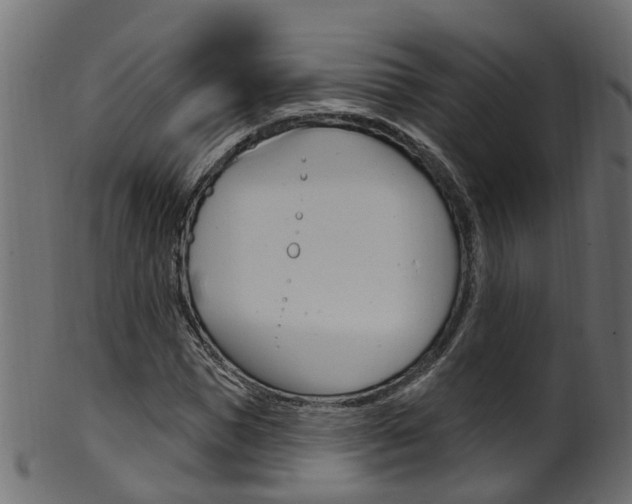 X0000102040921200807181026