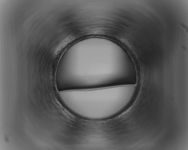 X0000102040922200807181026