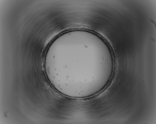 X0000102040925200807181026