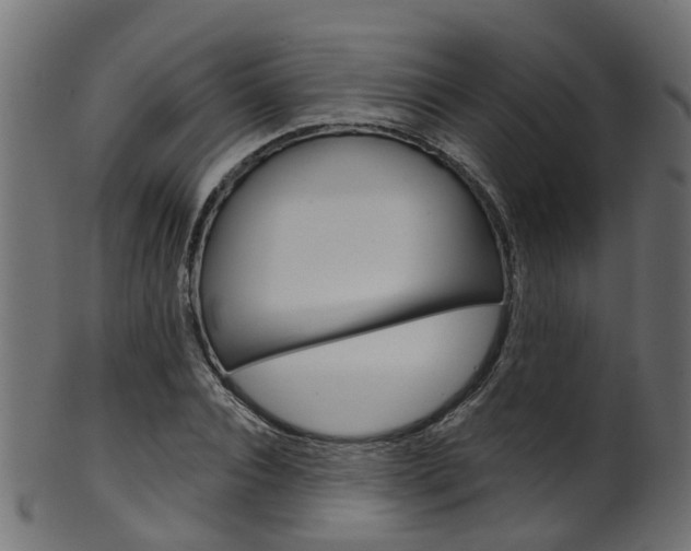 X0000102040928200807181026