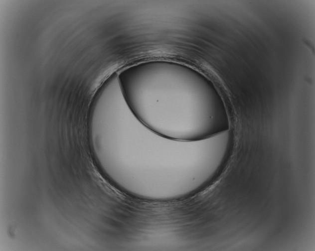 X0000102040930200807181026