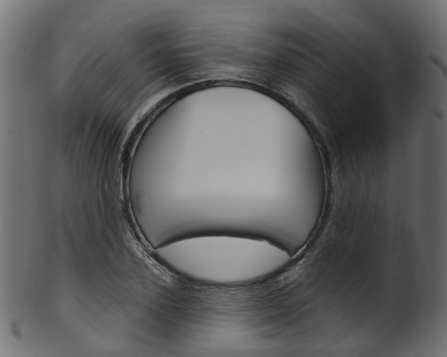 X0000102040931200807181026